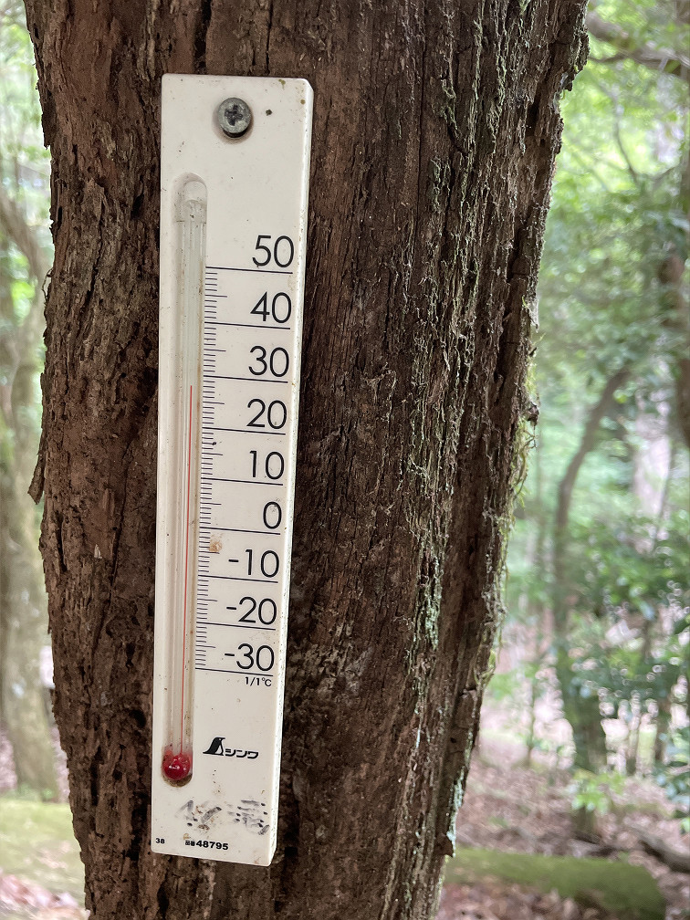 赤目四十八滝の気温