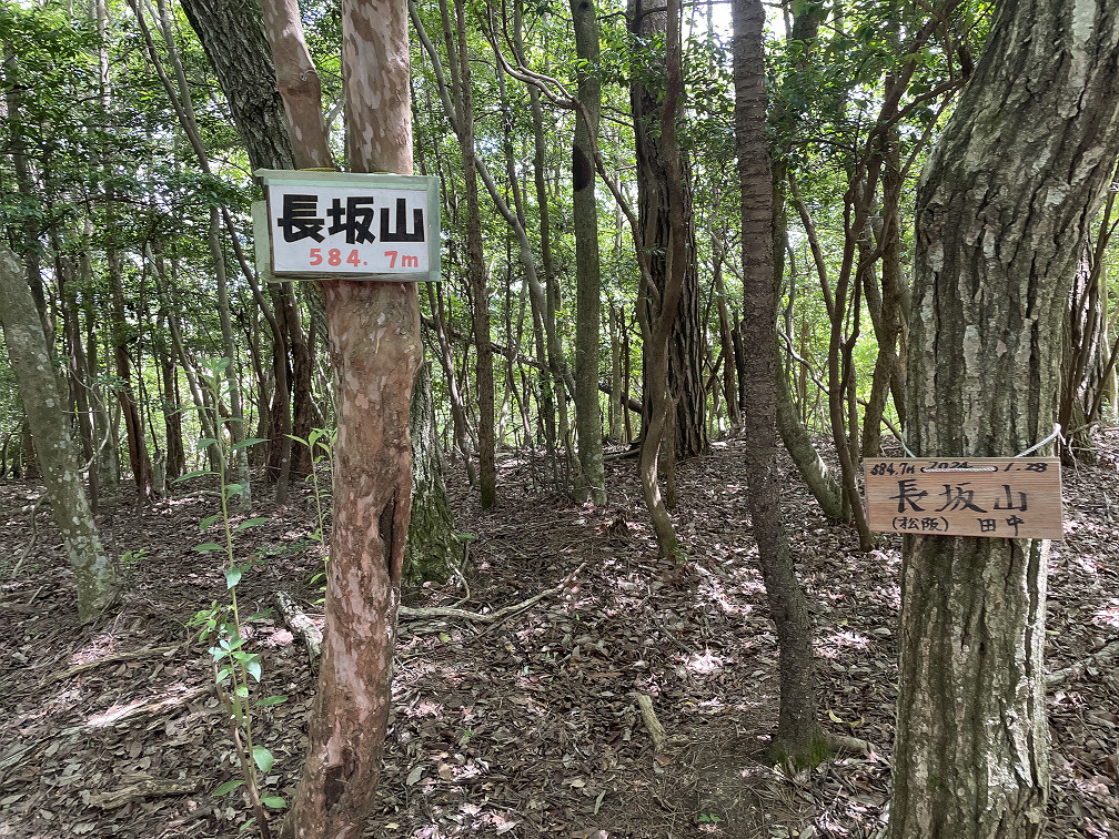 長坂山山頂