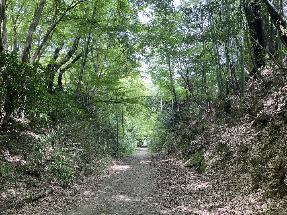 ケーブル跡ハイキング道