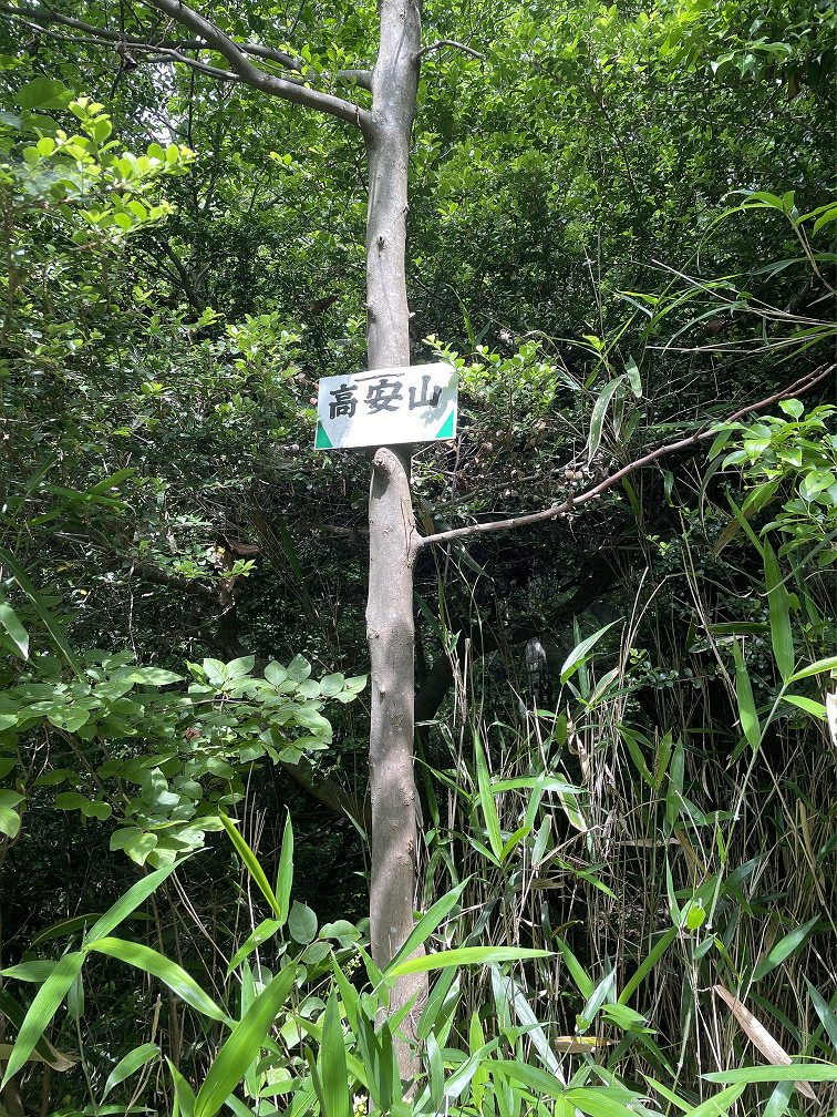 高安山山頂